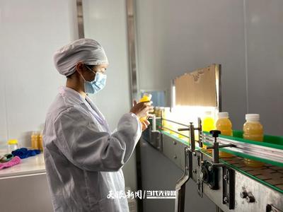 六盤水 產業轉型蹄疾步穩，獼猴桃變身“致富果”