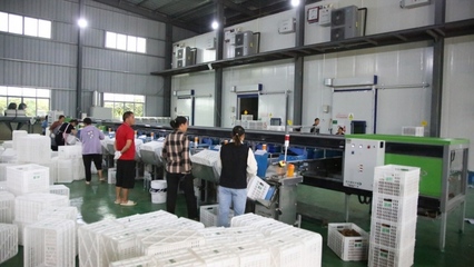 修文縣首個即食獼猴桃加工中心建成投用，開啟獼猴桃產業發展新篇章