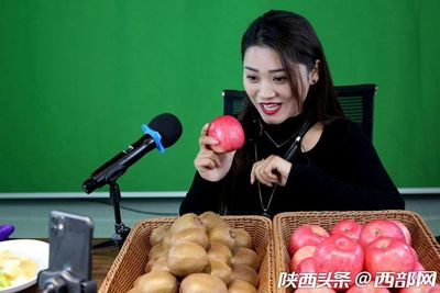 專業合作社引領，果農增收致富路——扶風獼猴桃實現全年供應與銷售新突破