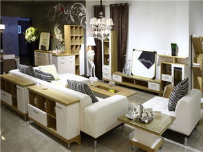 斯可馨定制家具讓您體驗私人訂制的感覺